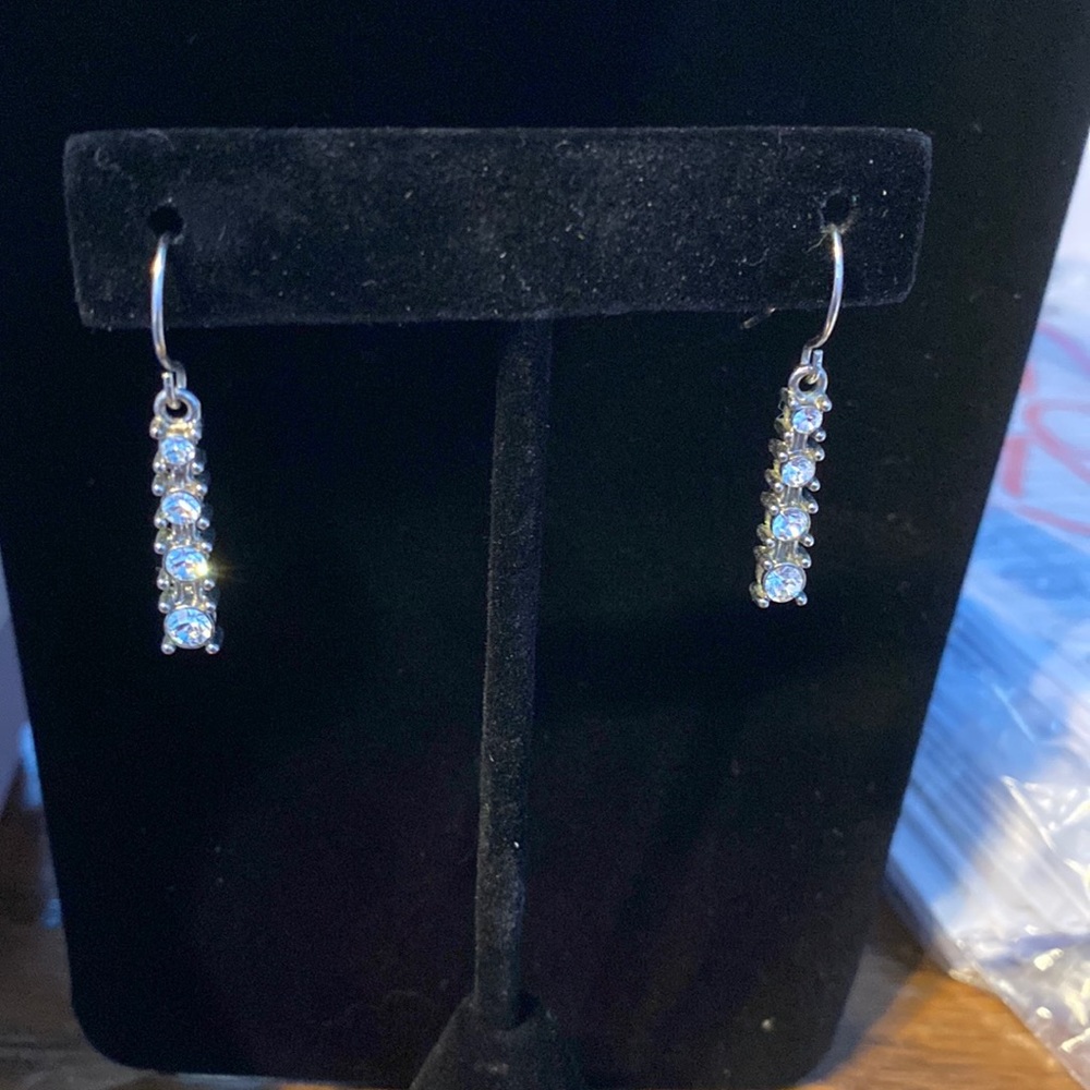 Earrings fishhook style